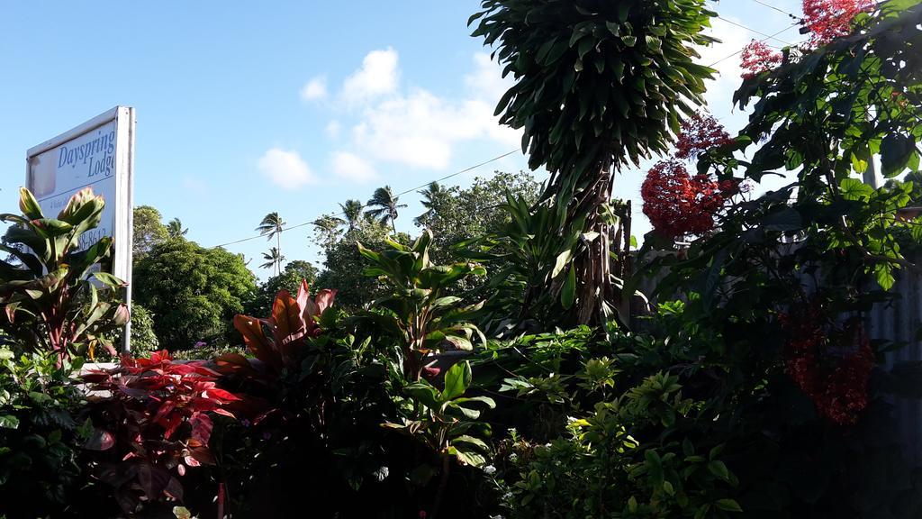 Dayspring Lodge Nuku'alofa Eksteriør bilde