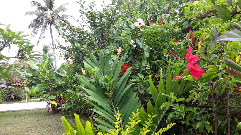 Dayspring Lodge Nuku'alofa Eksteriør bilde