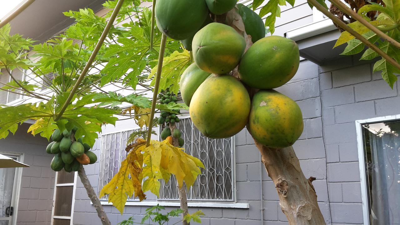 Dayspring Lodge Nuku'alofa Eksteriør bilde